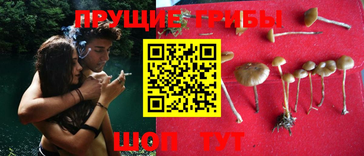 Псилоцибиновые грибы GOLDEN TEACHER Янаул